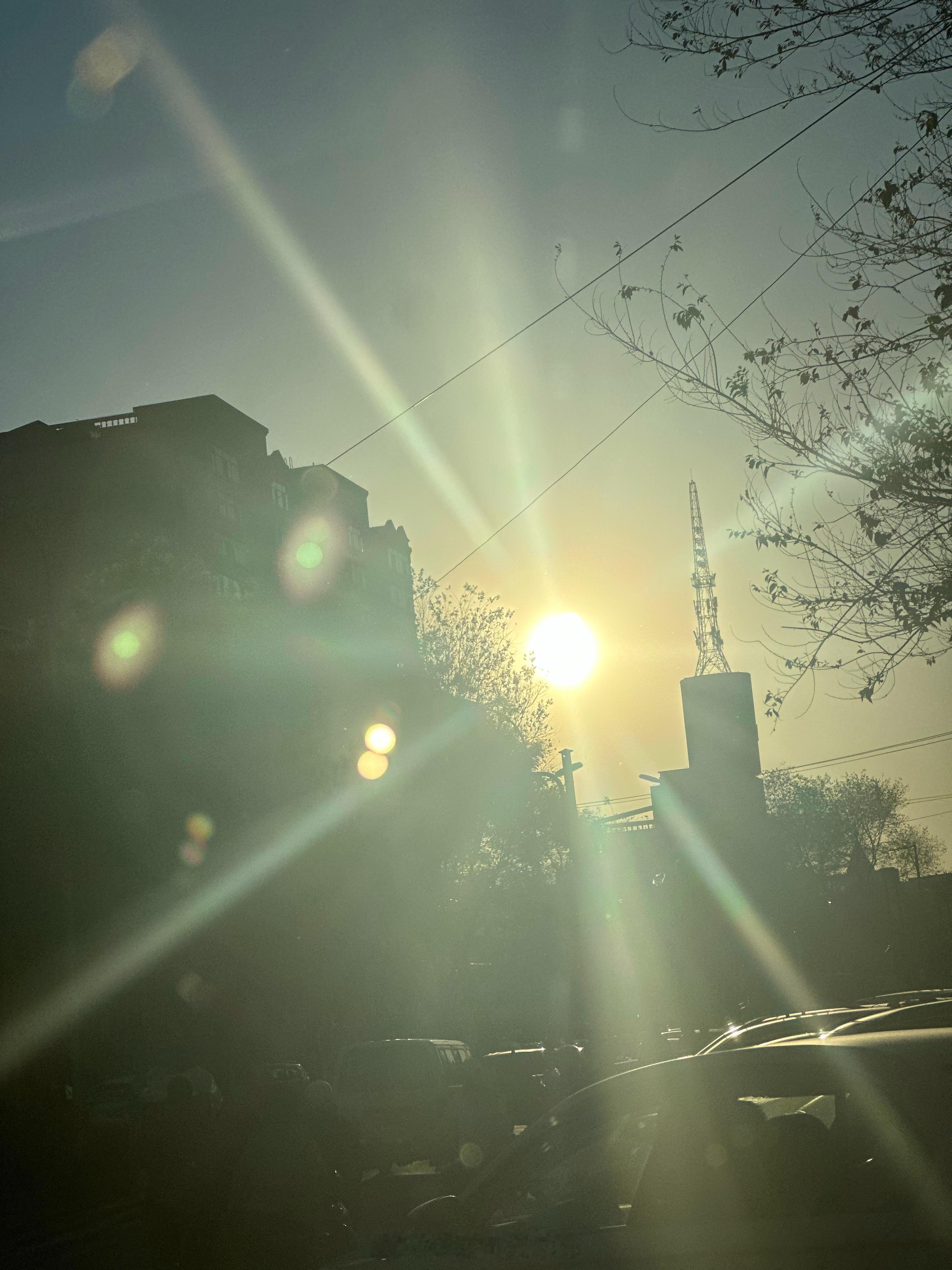 好久没有伴着阳光下班了 ​​​