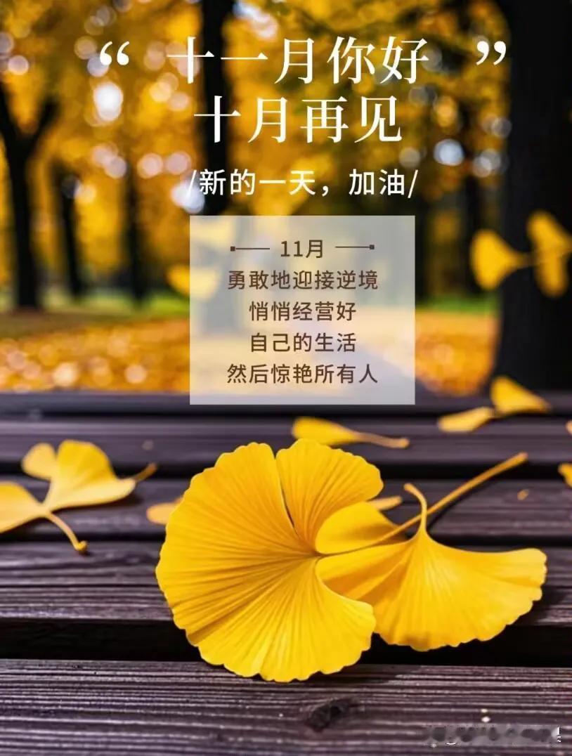 十一月的阳光，温柔而醇厚，透过斑驳的树枝，洒下一地金黄。这是一个沉淀与思考的季节
