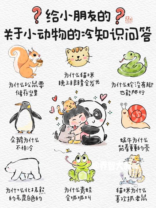 小动物的冷知识趣味问答，保护孩子的好奇心