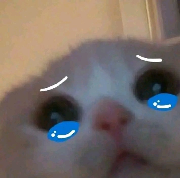 小号销号之后这几天好多人问我之前翻的小说缺失的部分，但是我这两天好忙没时间整理，