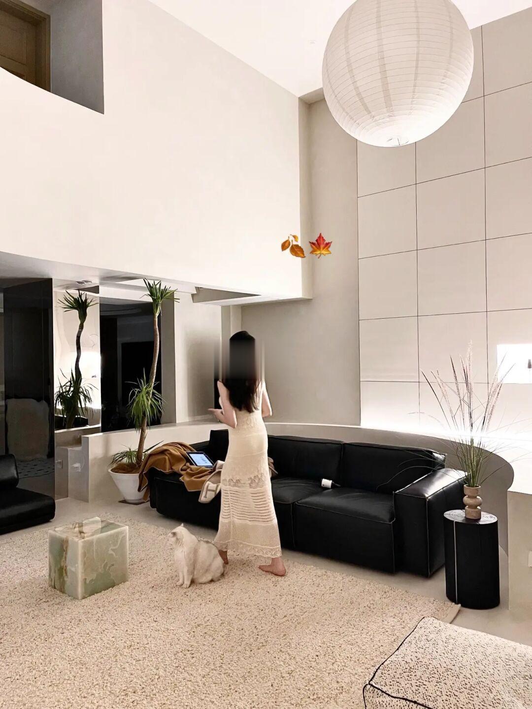 秋日凉｜宜和猫咪一起窝沙发