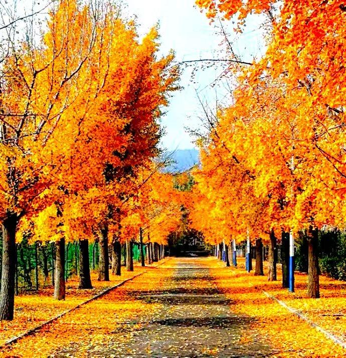 北京路边随手拍