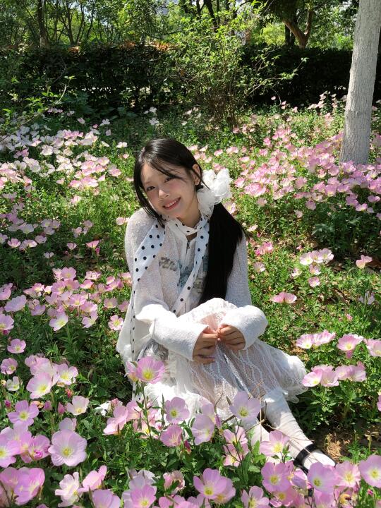 🌸我的春天只顾开花🌸