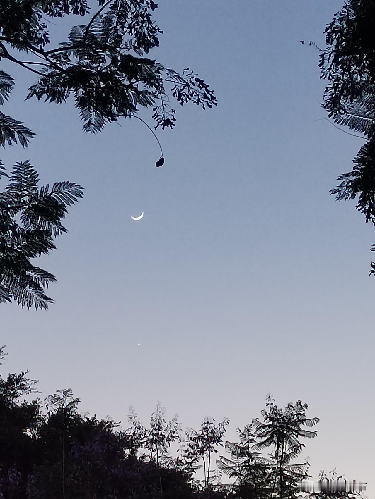 上弦月与金星，在城市里已很难看到这么清晰的星星了。[祝福][送自己一朵花][烟花