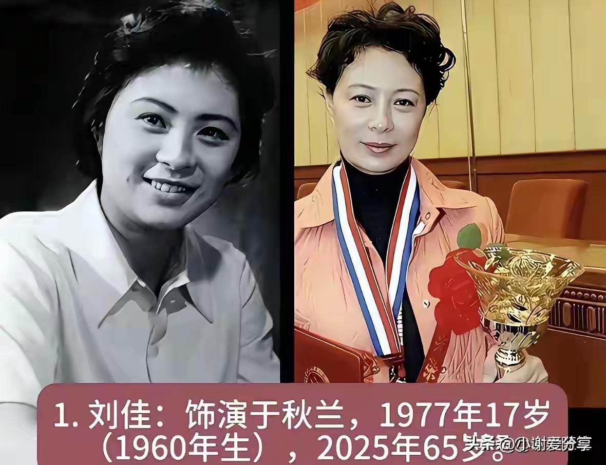 老艺术家有一种独特的气质感。
岁月流转,优雅依旧——刘佳的魅力让人难忘
凌元的表