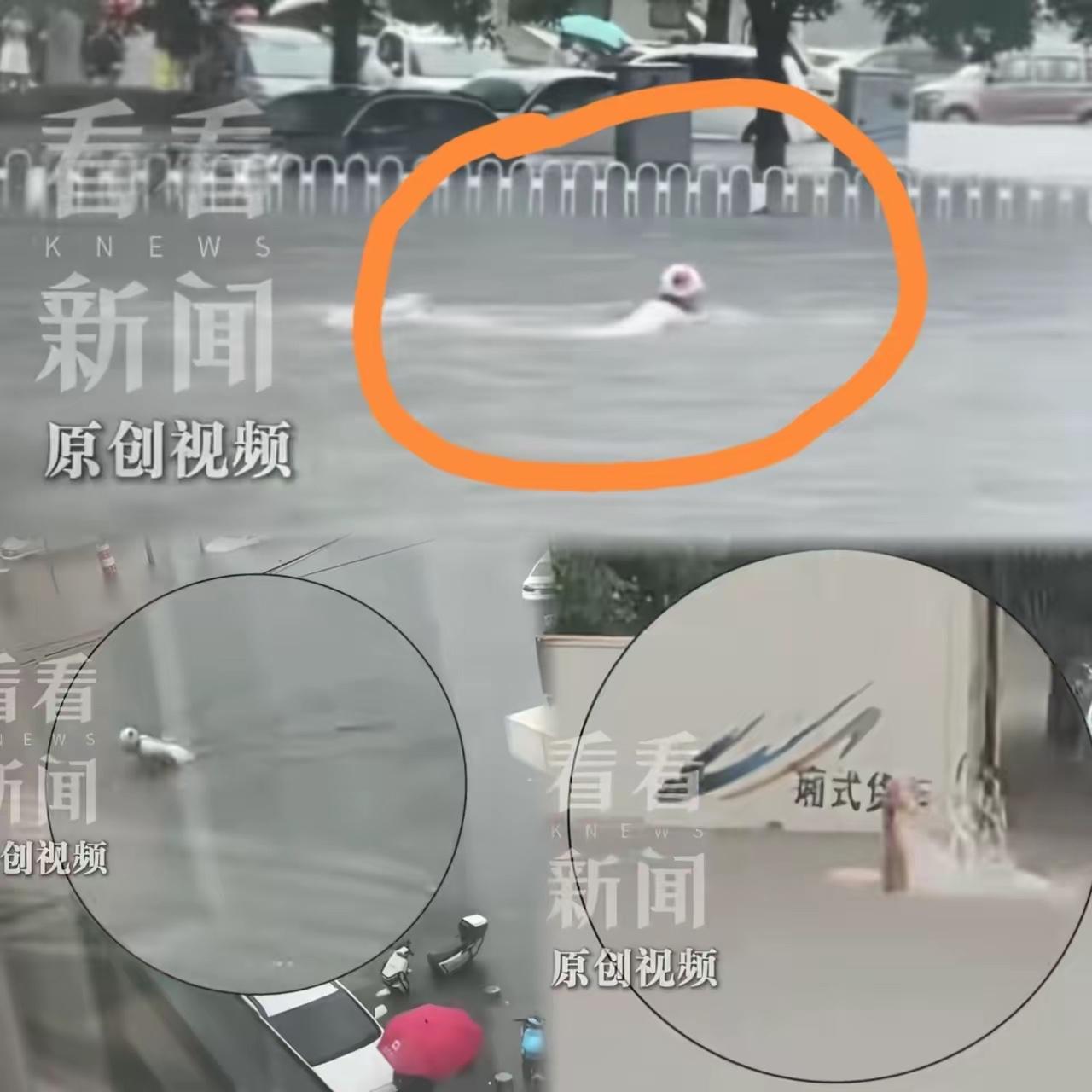 一场台风巴威外围降雨，让沈阳瞬间冲上热搜，全国网友看完街头画面，纷纷感慨东北人的