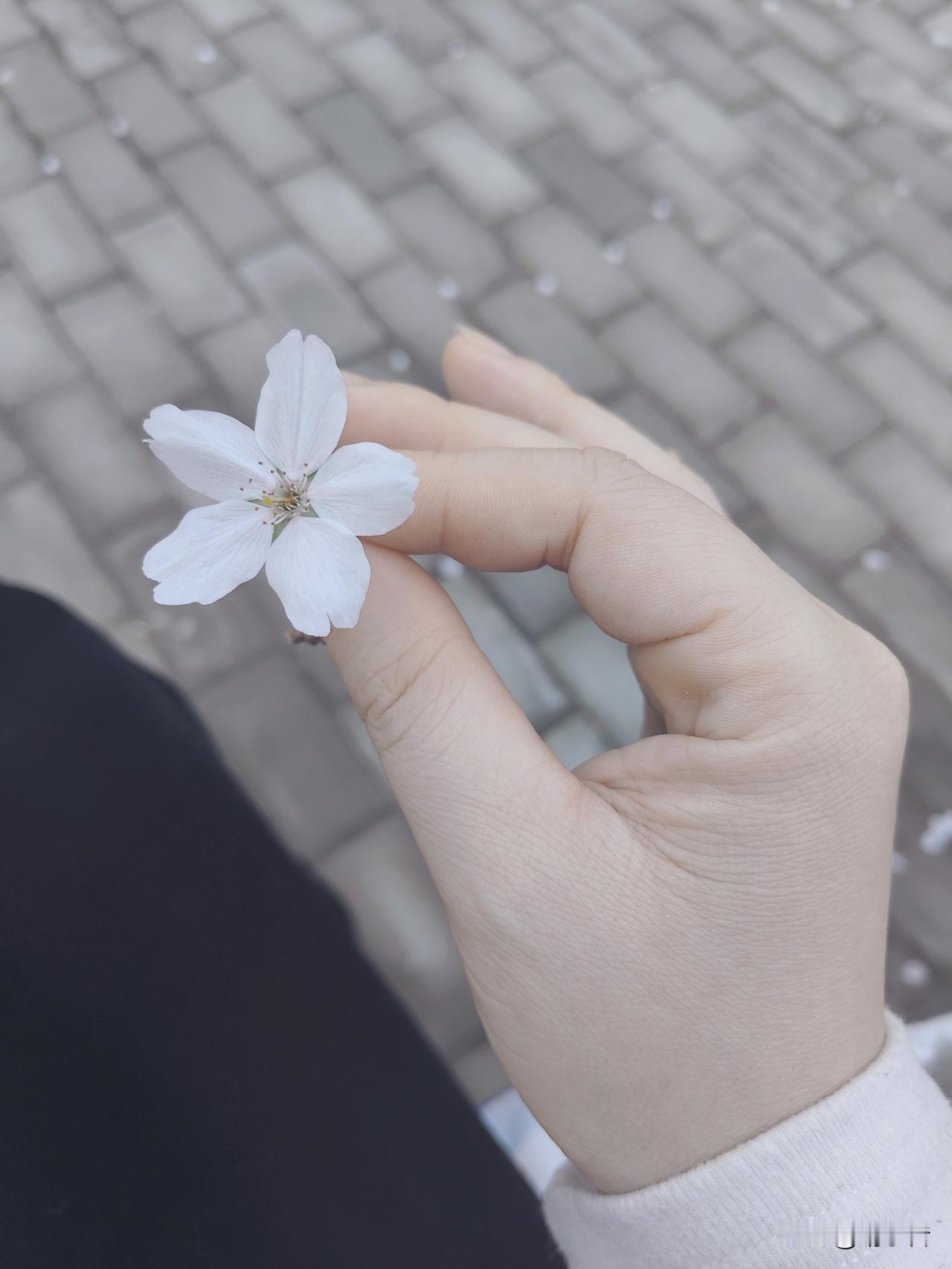 忽然发现我真的是学古琴的天选之人，骄傲一下。

怎么这么说呢？虽然我没有一点音乐