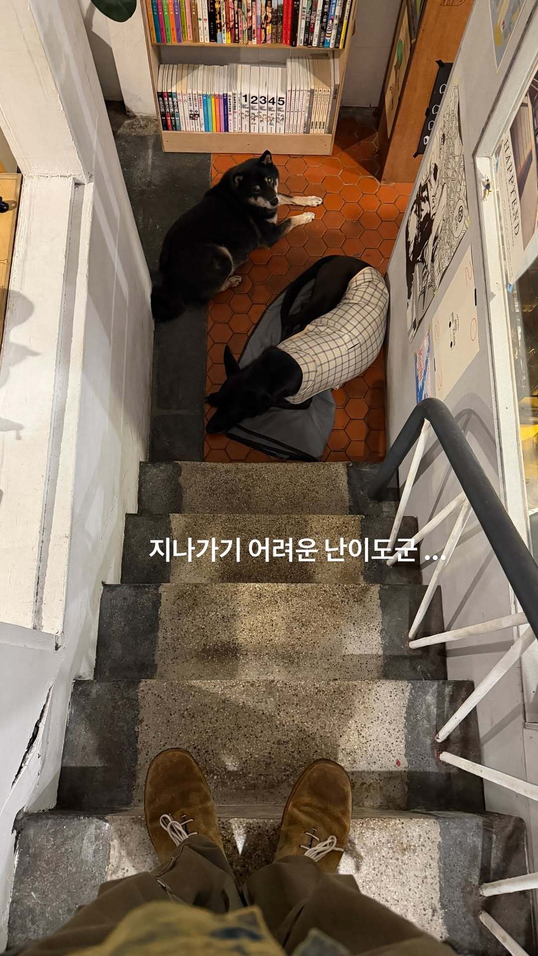 “CB百蓝_。260122金钟云 ins story更新：是难以通过的难度啊..