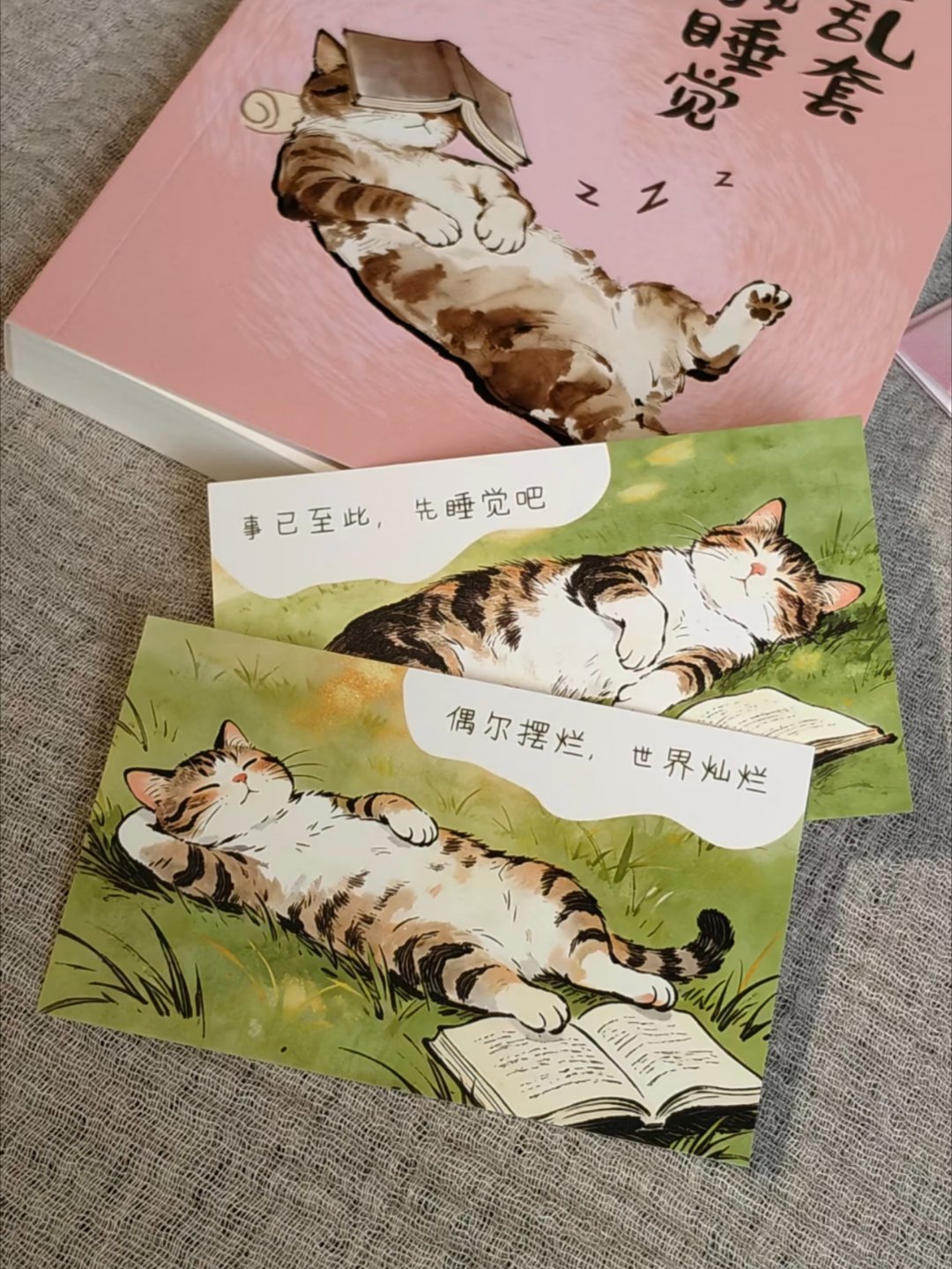 人生乱套，不如先好好睡一觉 