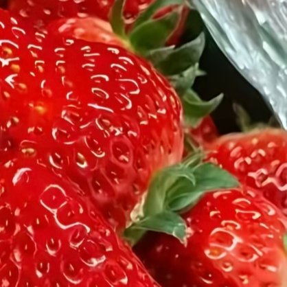 草莓种植 1. 栽种时间大部分地区最佳种植时间：10–12月新手推荐品种：红颜（