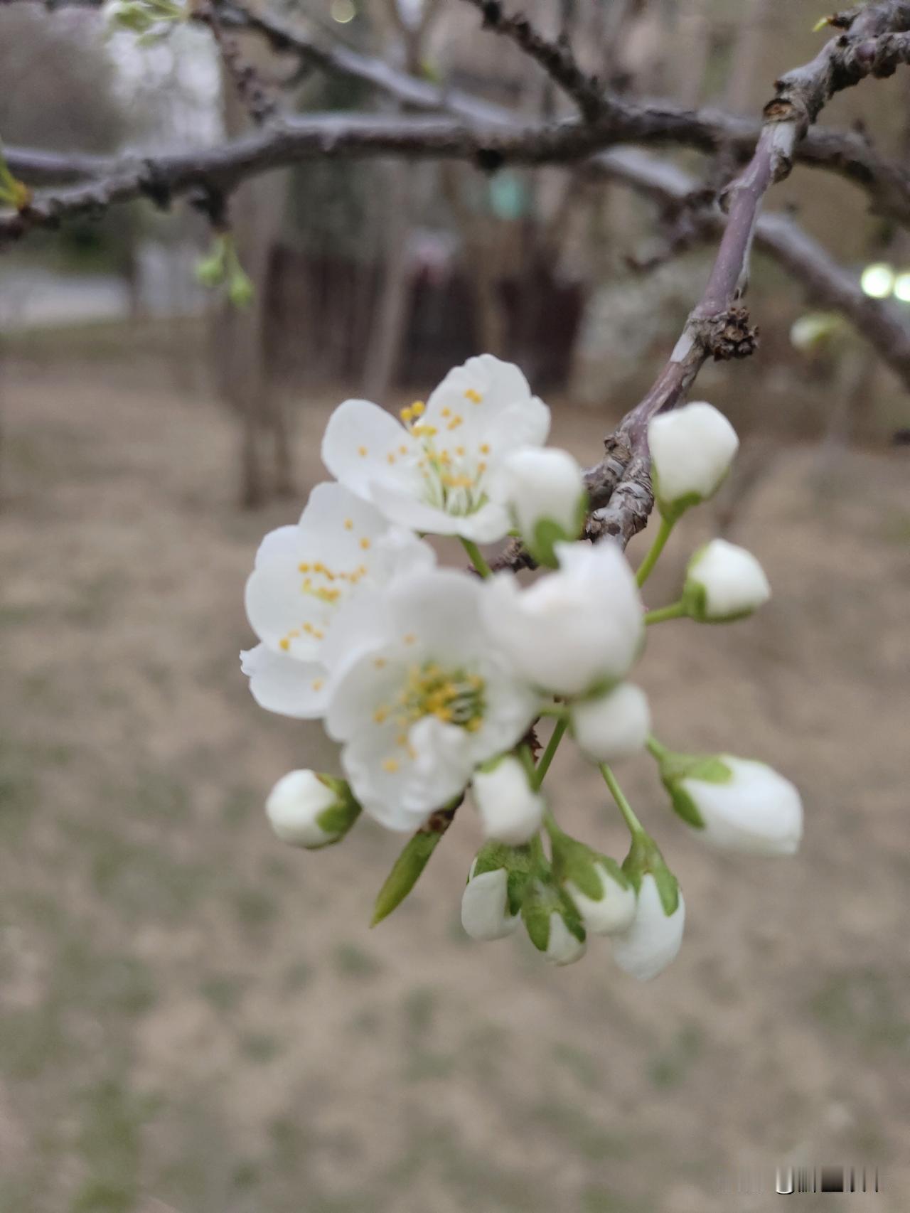 今天看到一句话:人穷而情深，最是熬人。感触挺深。
 
啥叫人穷而情深？就是兜里没