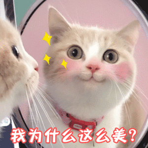 为什么衣服只喜欢穿一年新鲜感保质期刚好一整年，穿满四季审美疲劳，衣柜旧衣闲置，总