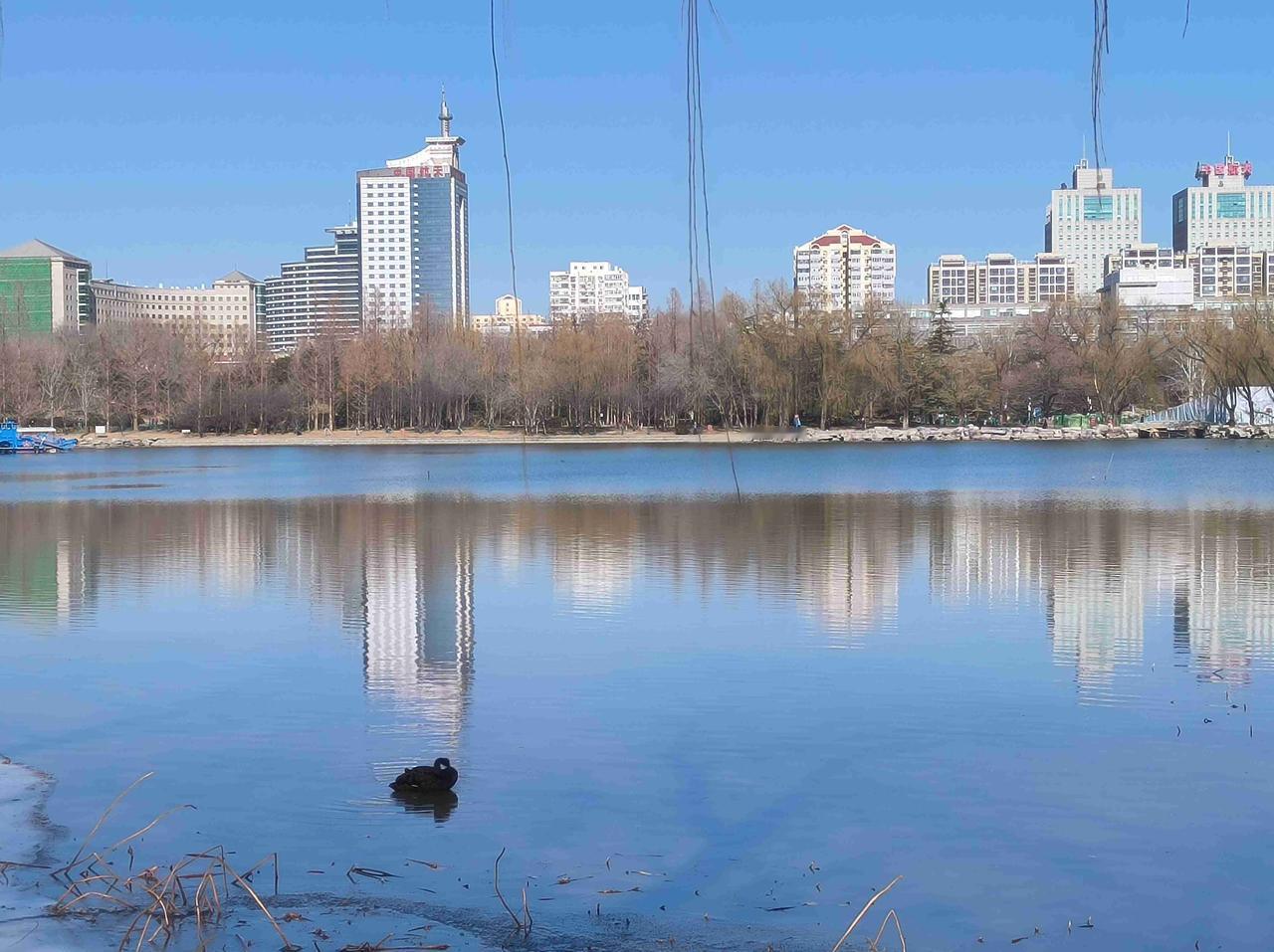 我的今日状态：🐯虎虎生威
我这里的天气：🍂微风