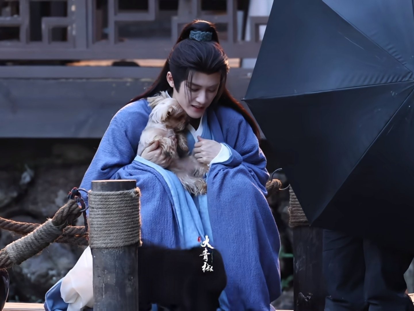球球你走开行不行，位置让给我