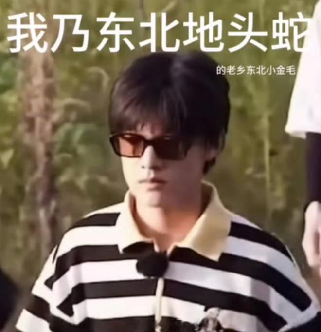 想我狗汁，狗汁你在哪 
