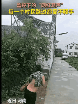 葫芦，谐音福禄，摸摸沾沾福气[赞]