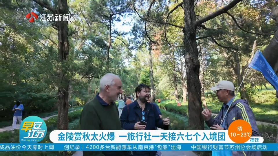 金陵赏秋太火爆 一旅行社一天接六七个入境团