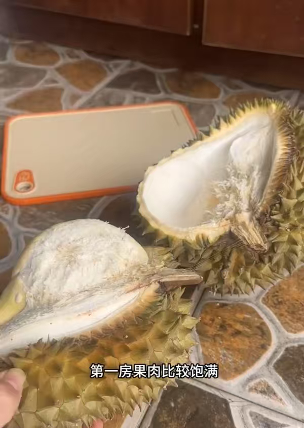 异形榴莲的出肉率都说榴莲越丑越好吃，这话真没骗人！异形榴莲看着造型怪异、歪歪扭扭