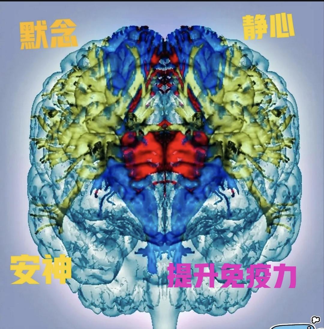 平复焦虑、安定心神的做法
神经科学博士分享：
每天安静轻声诵读十分钟，对大脑修复
