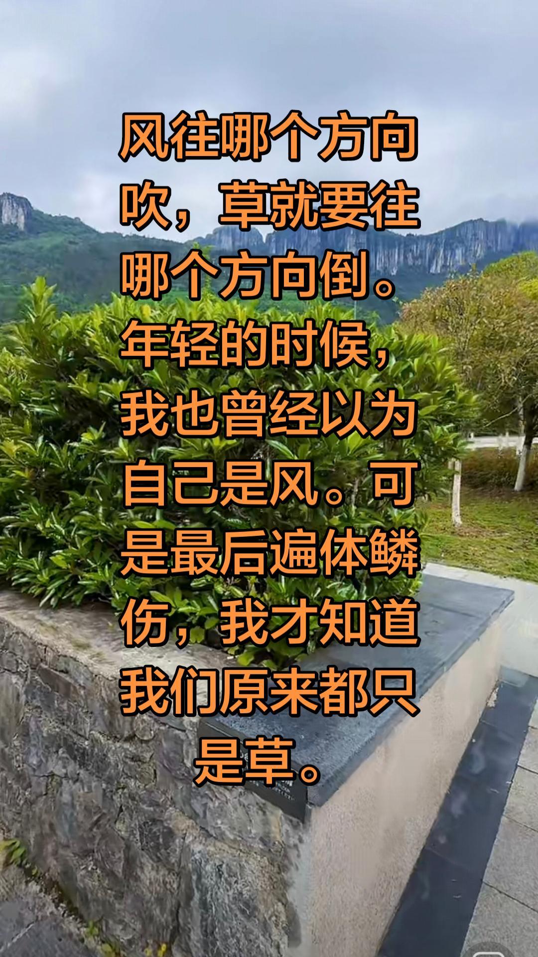 风往哪个方向吹，草就得往哪个方向倒。

年轻那会，我总觉得自己是风——能决定方向