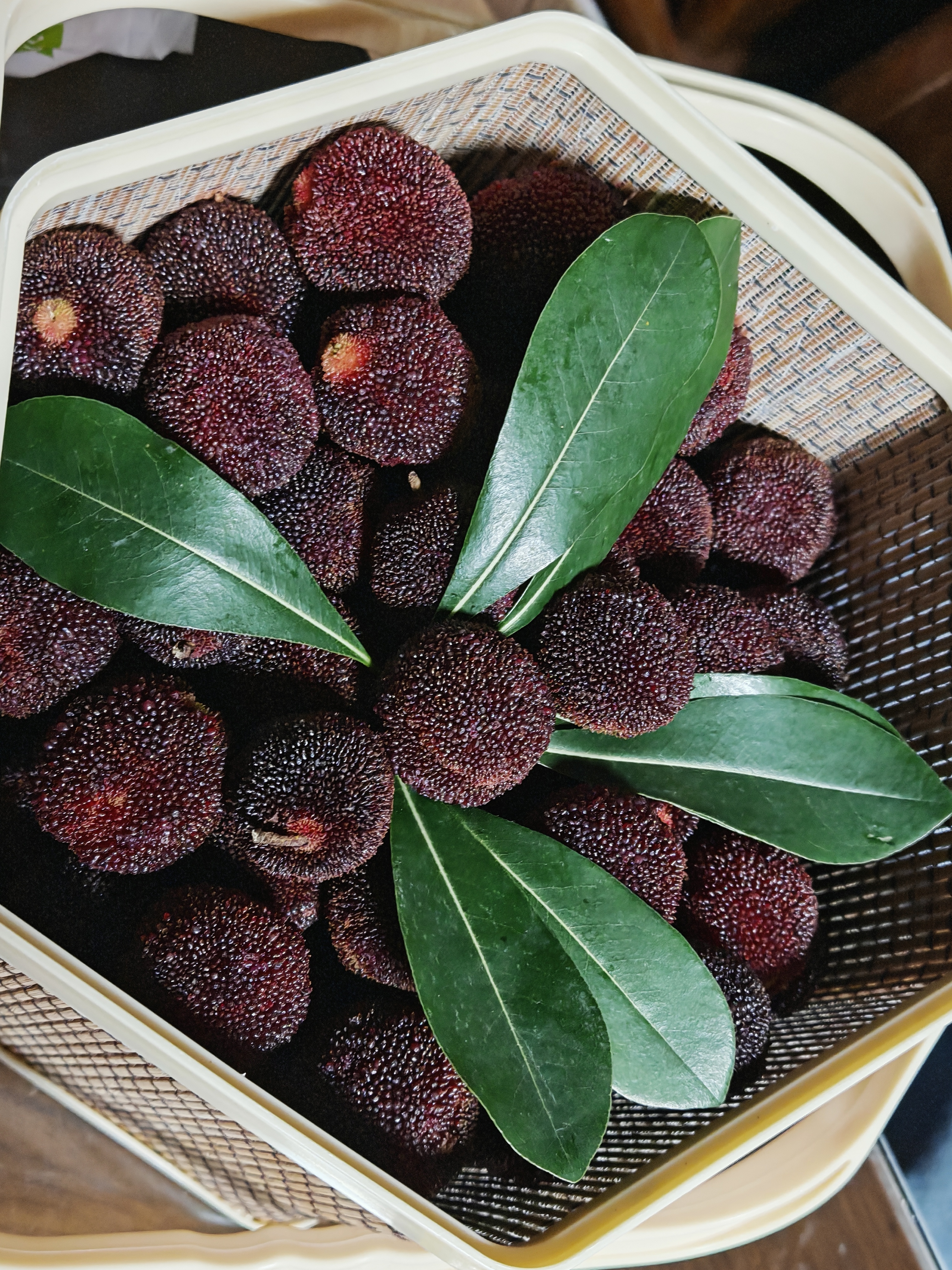 今天的漂亮杨梅plog. ​​​