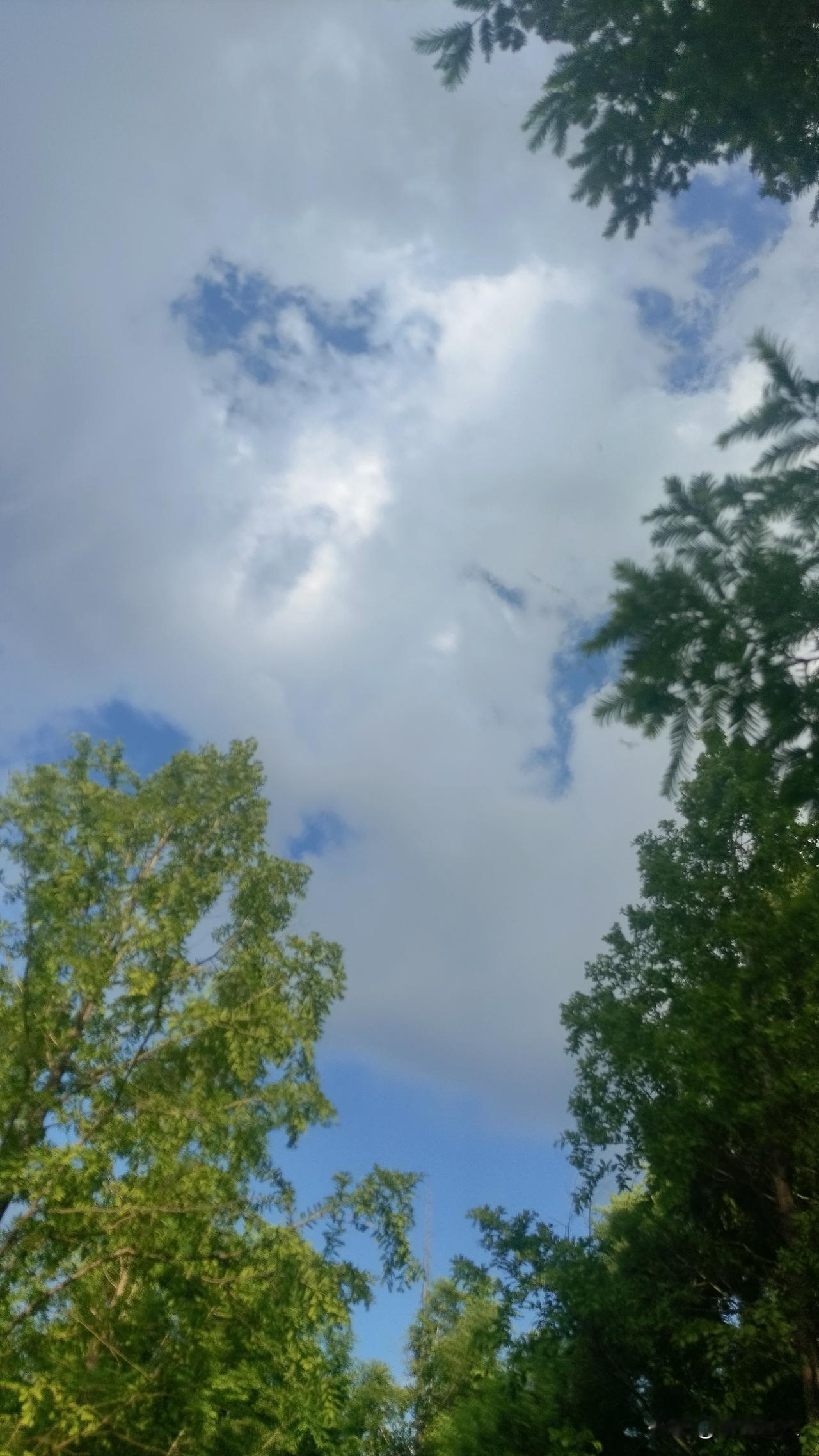 分享几张干净的天空照片′