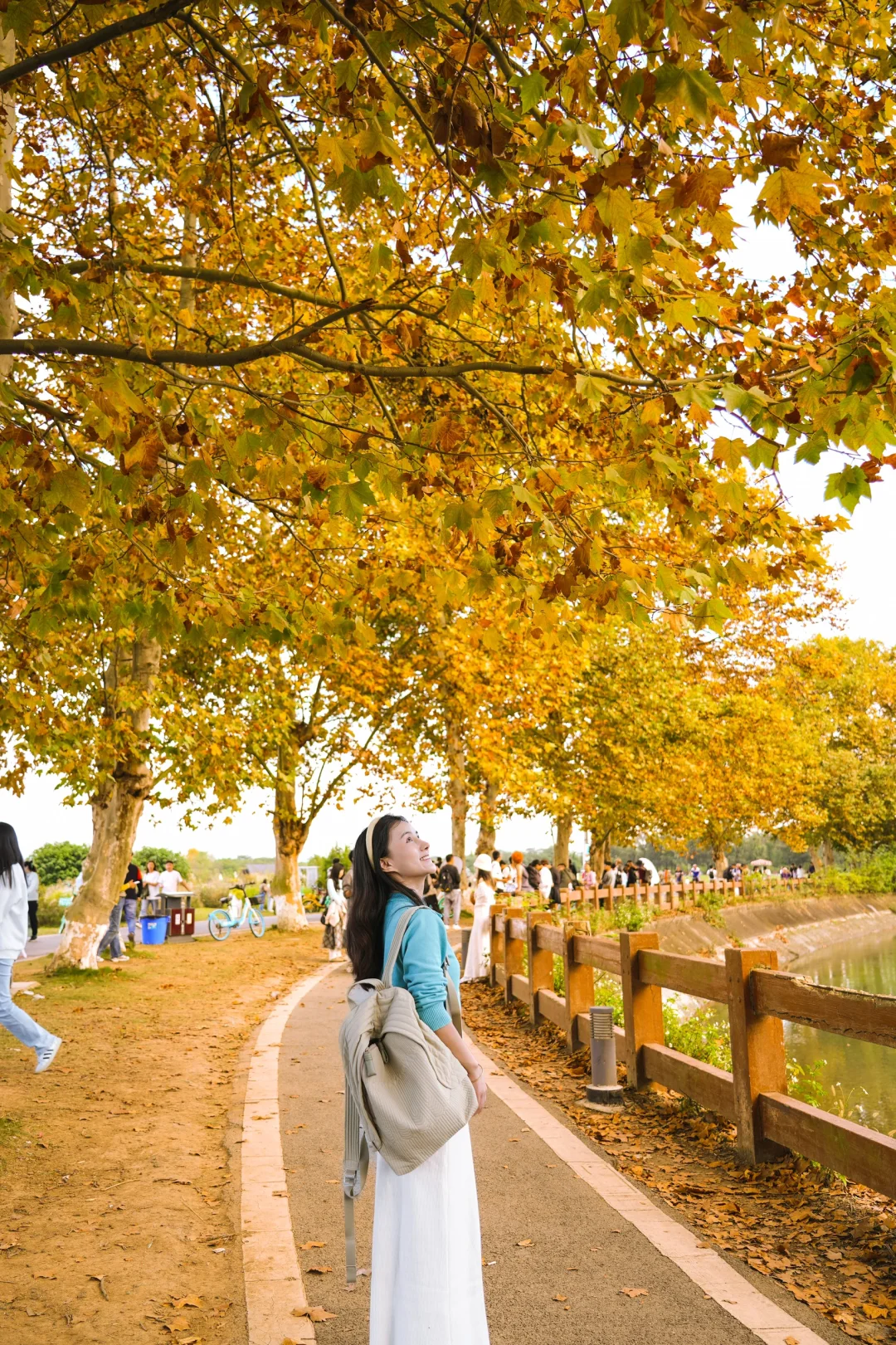 成都最美的赏秋公园！好想留住青龙湖的秋🍂