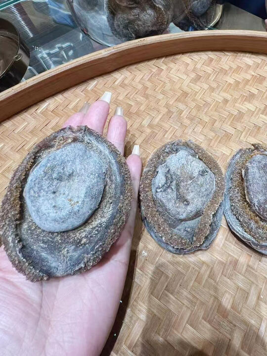 来澳门见世面了！