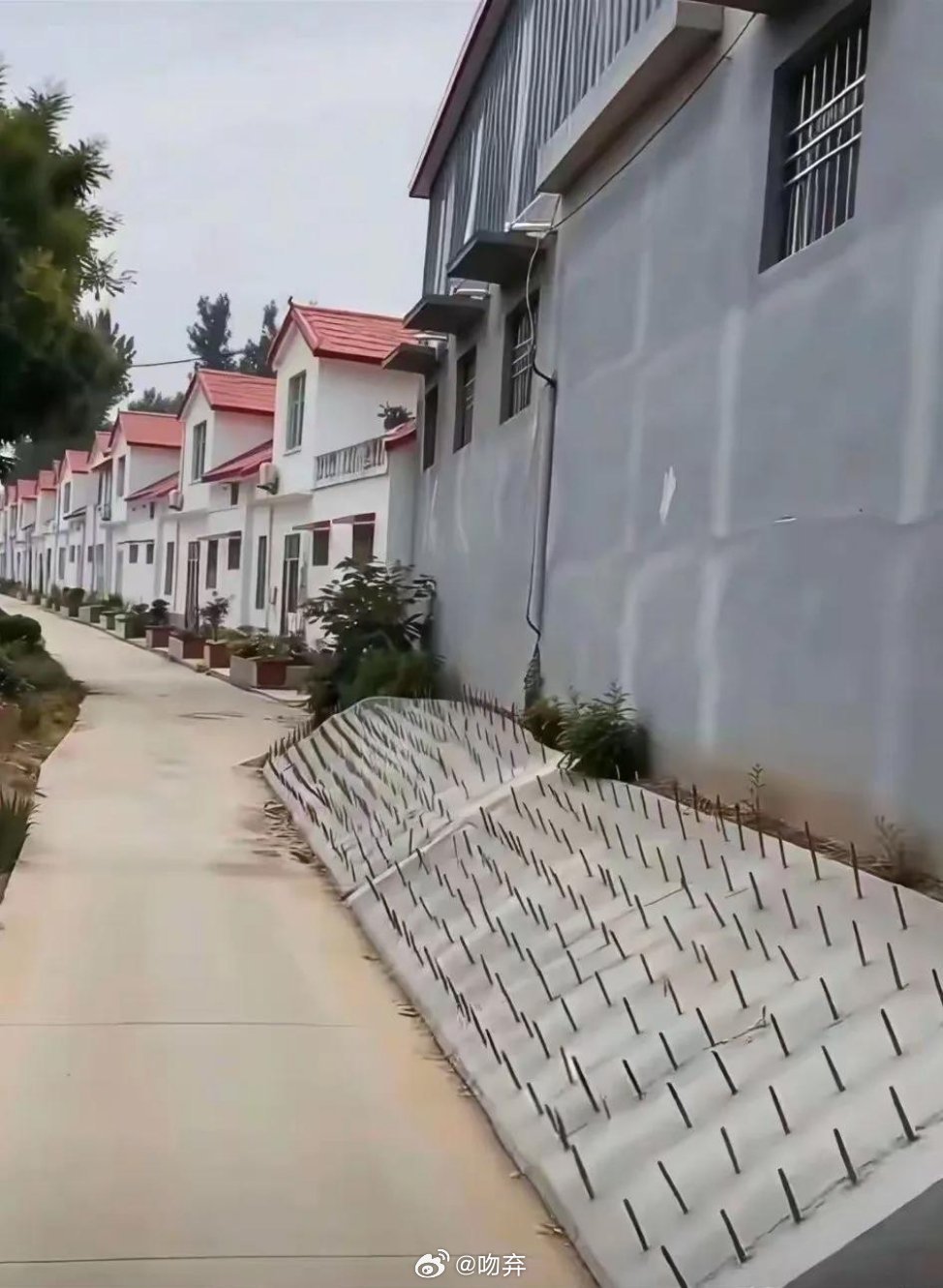 我实在看不惯老家这户人家，一点不为路人着想 
