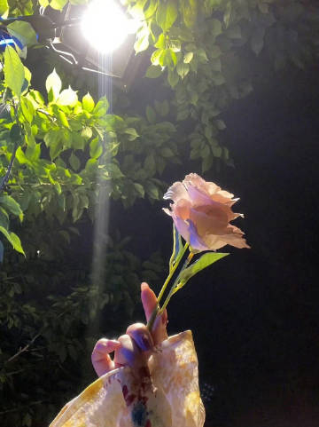 老人言：“善良是对的，但不能惯着不知好歹的人！” ​ ​​​