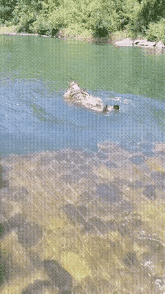 这种水流是最难脱身的，玩水需克制，不要贪图刺激…… 