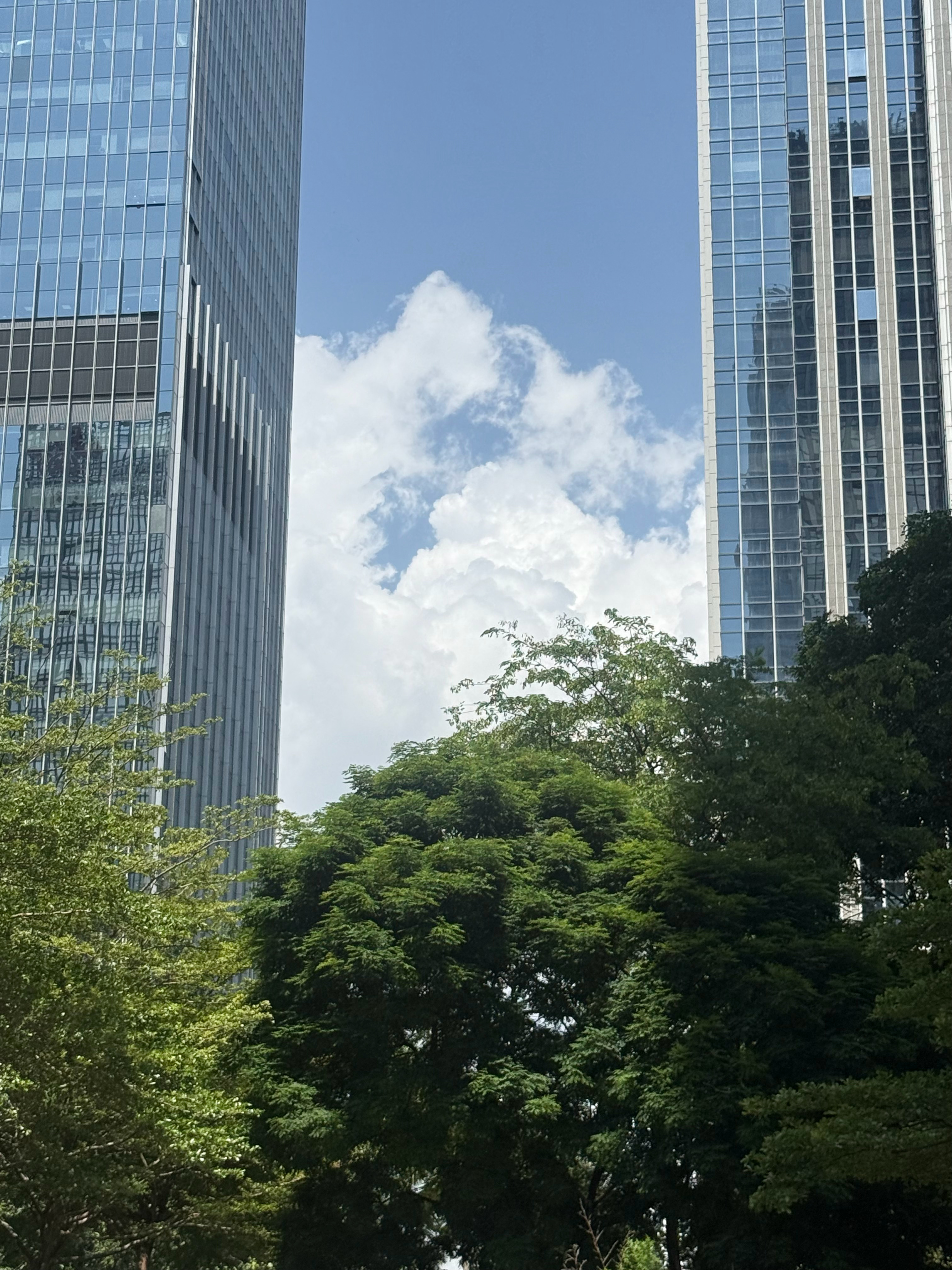 久未放晴的天空☁️☁️☁️好热꒰꒪꒫꒪⌯꒱ 