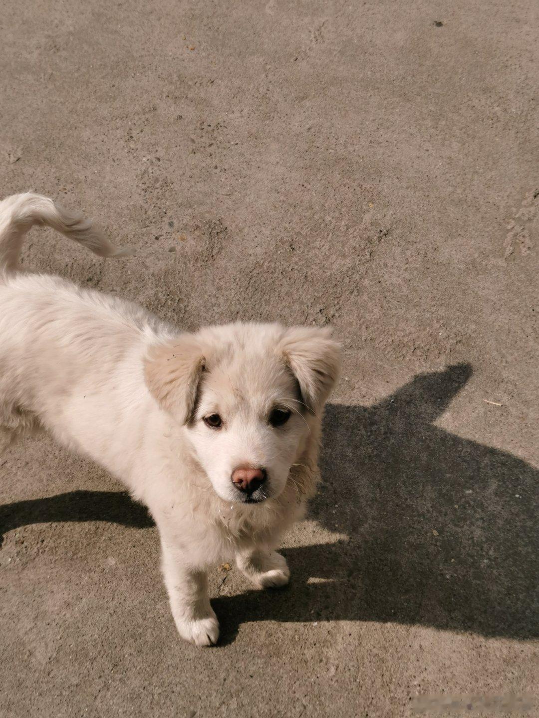 第五人格[超话] 大家排位觉得哪张图最好打 