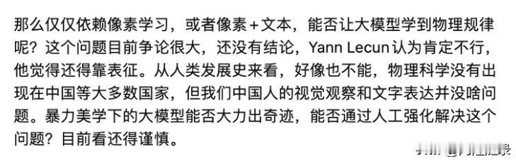 大模型原教旨 vs 大模型泡沫派。

两派争论的焦点就是，依靠数据和模型的“足够