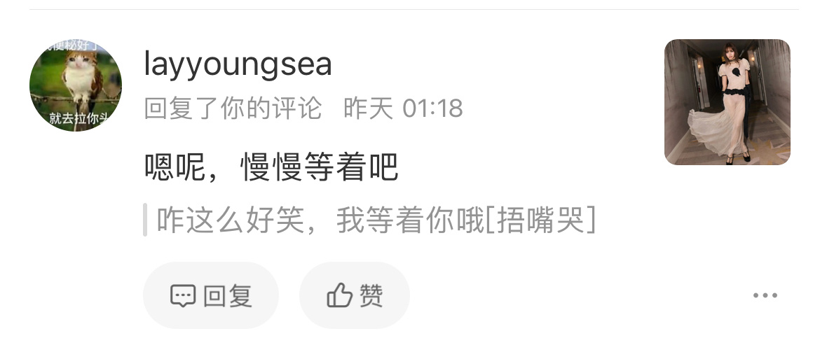 劳资真的要笑疯了，我一直在等你起诉我，你怎么在微博发上小作文了😂 