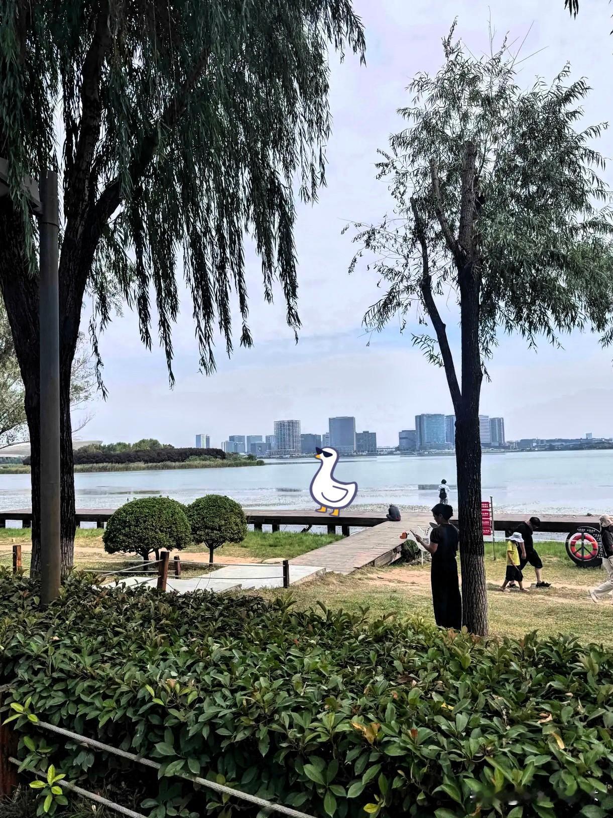 还有半个月就是国庆节了，我发现六个很奇怪的现象：
1.很多人都变聪明了，直接请三