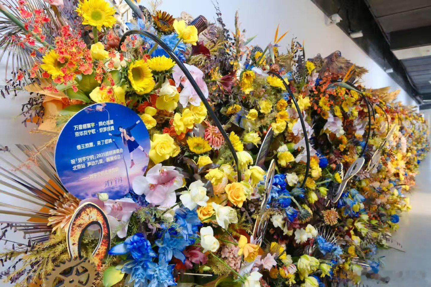 刘宇宁感谢粉丝们，挺好， 