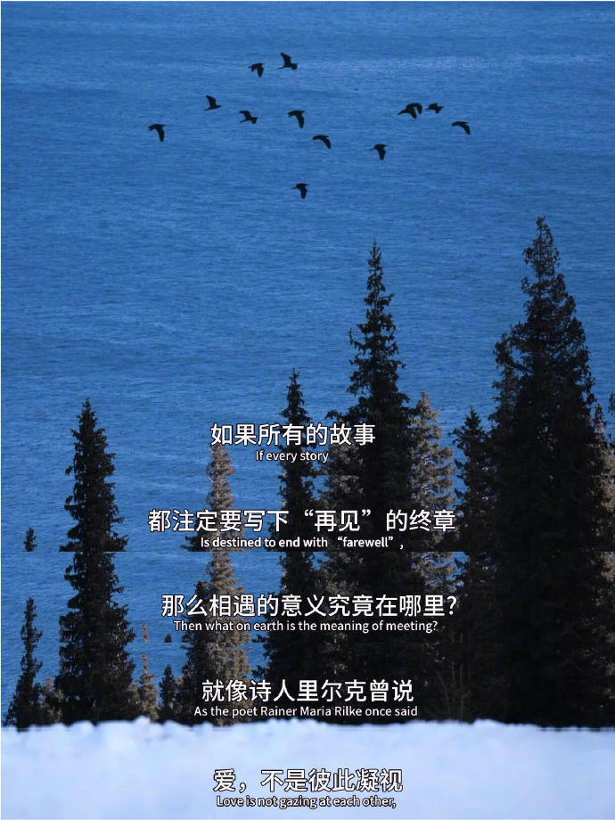 相遇的意义，是成为彼此的痕迹 