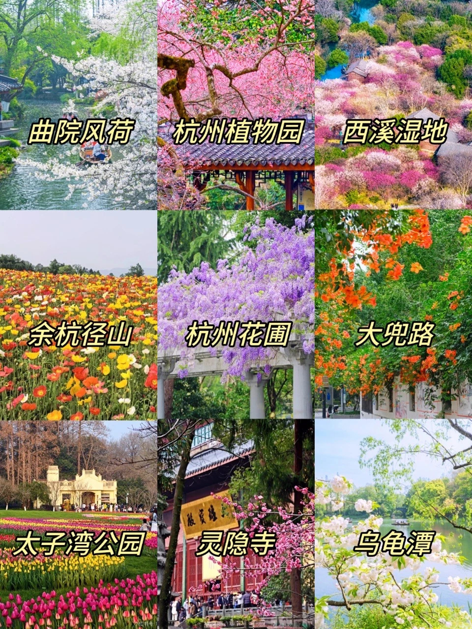 避开拥堵‼️春日来杭州🌷这些路线太夯了