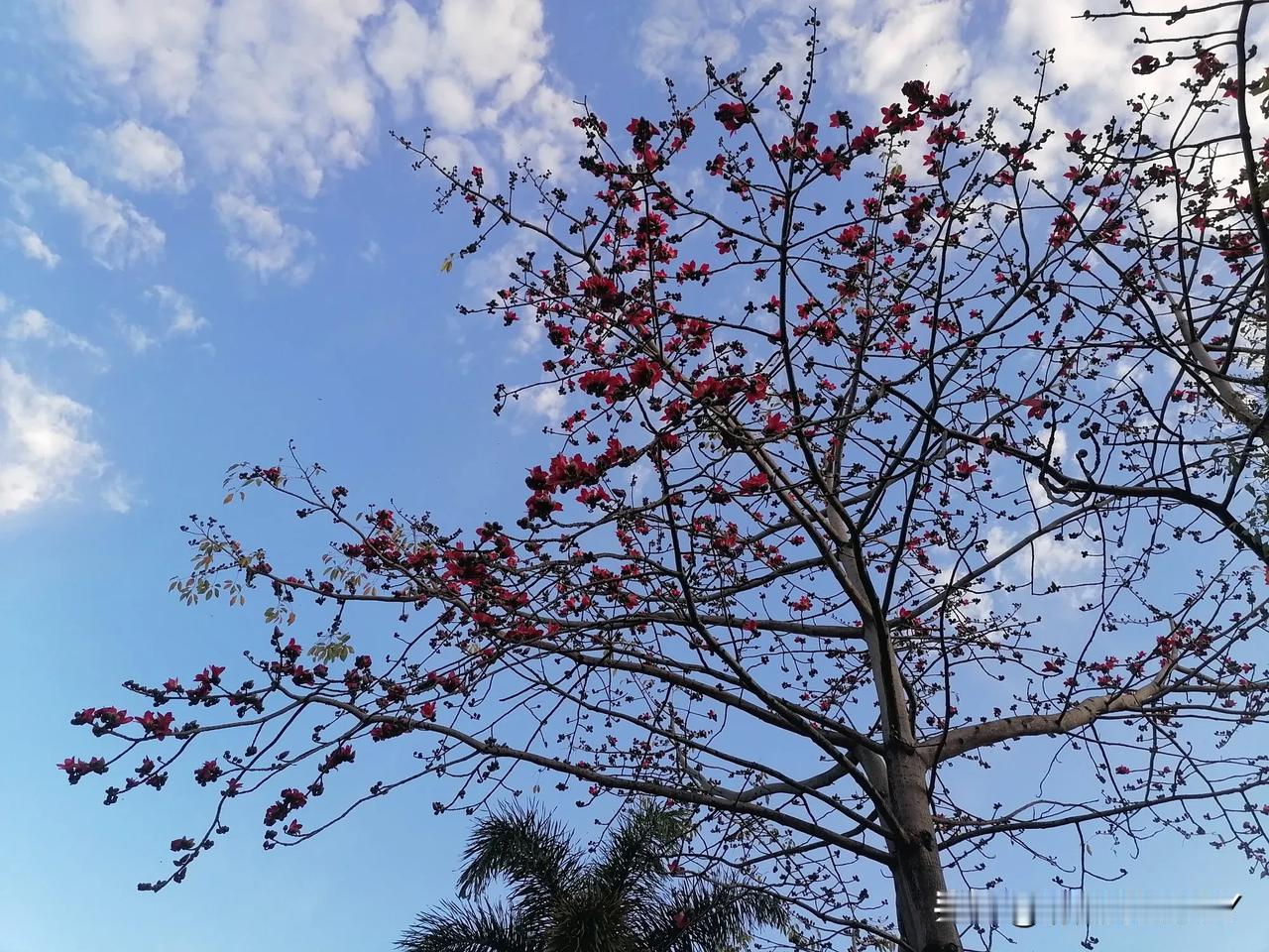 不知道为什么，每一年的春节过后，当我从老家来到广东后，我最关注的就是广东这片土地