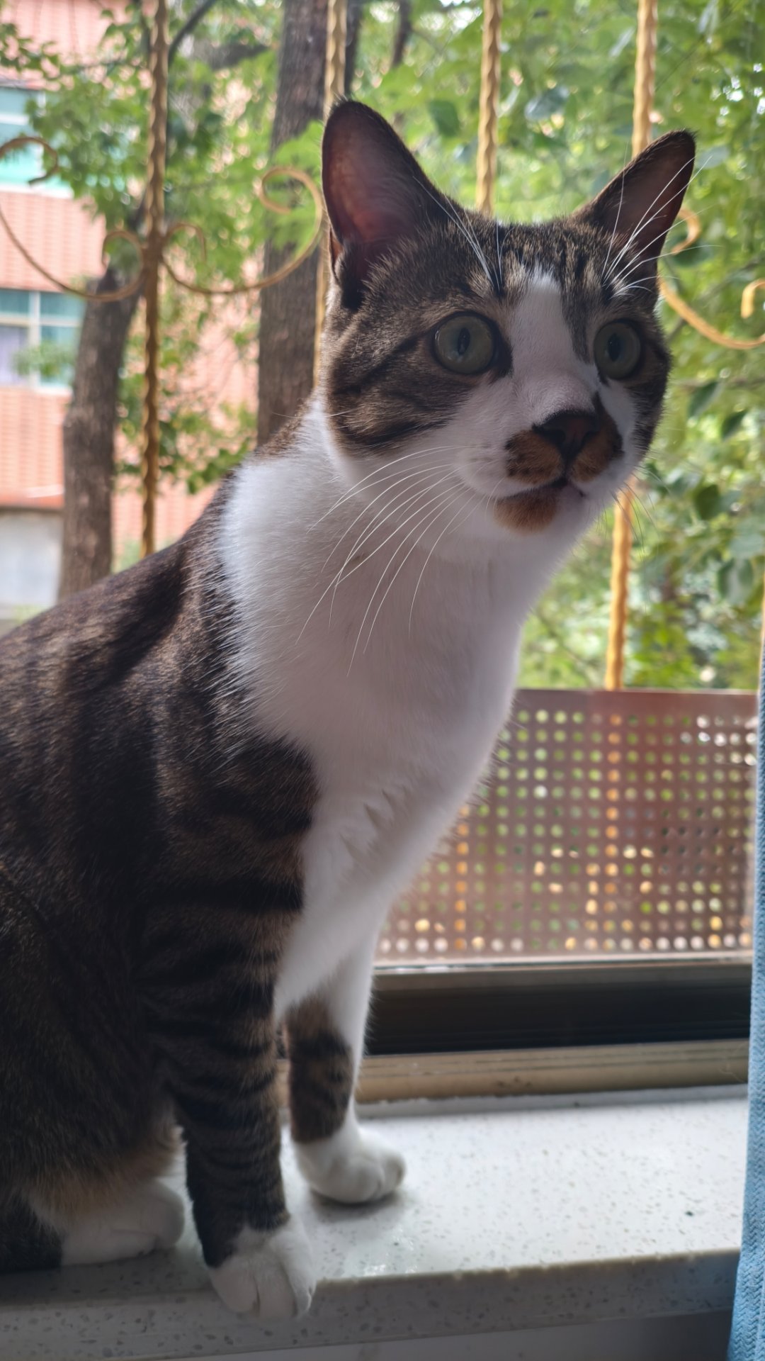 签到签到签到今天不能再忘了           