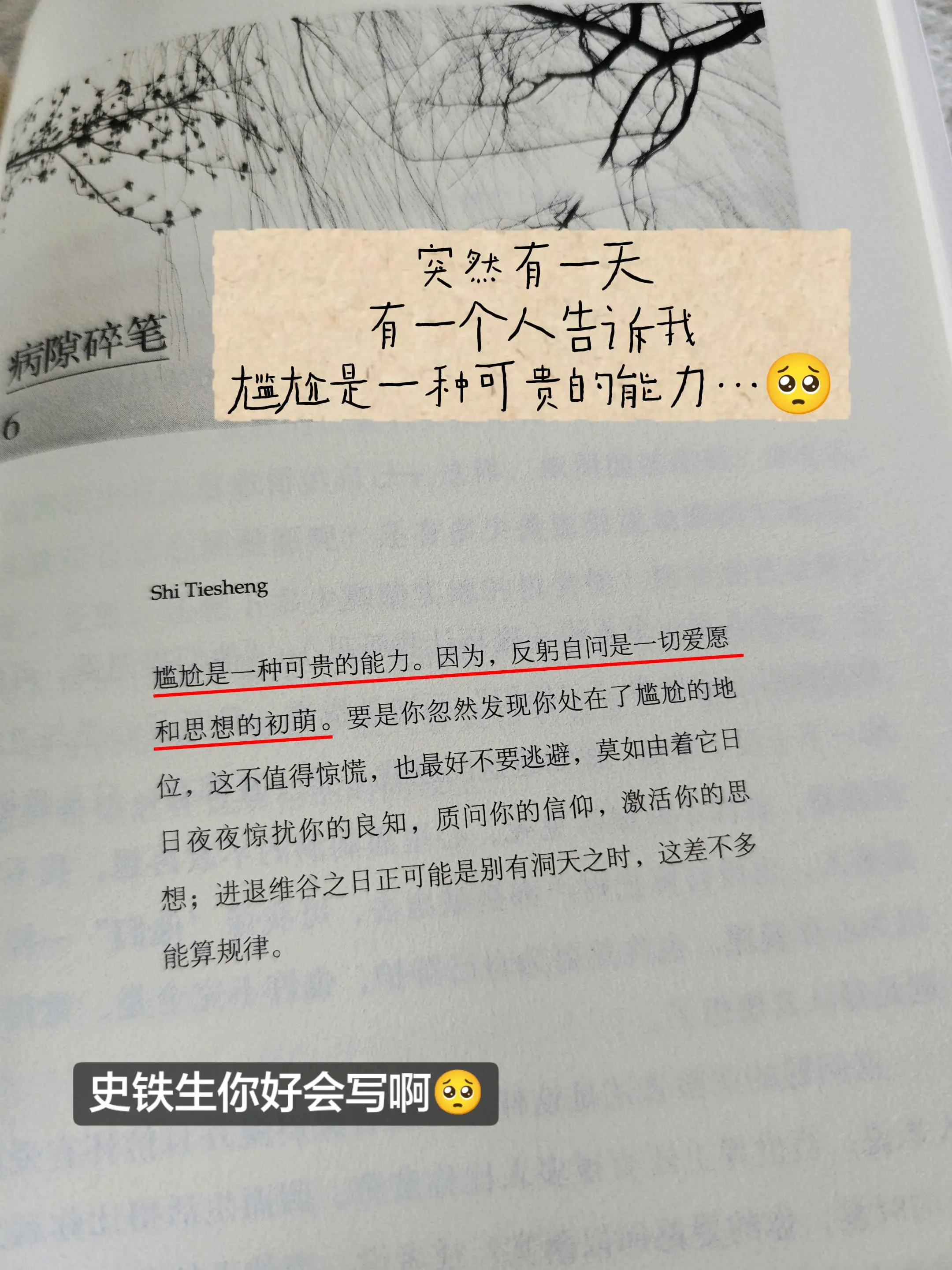 “尴尬是一种可贵的能力”