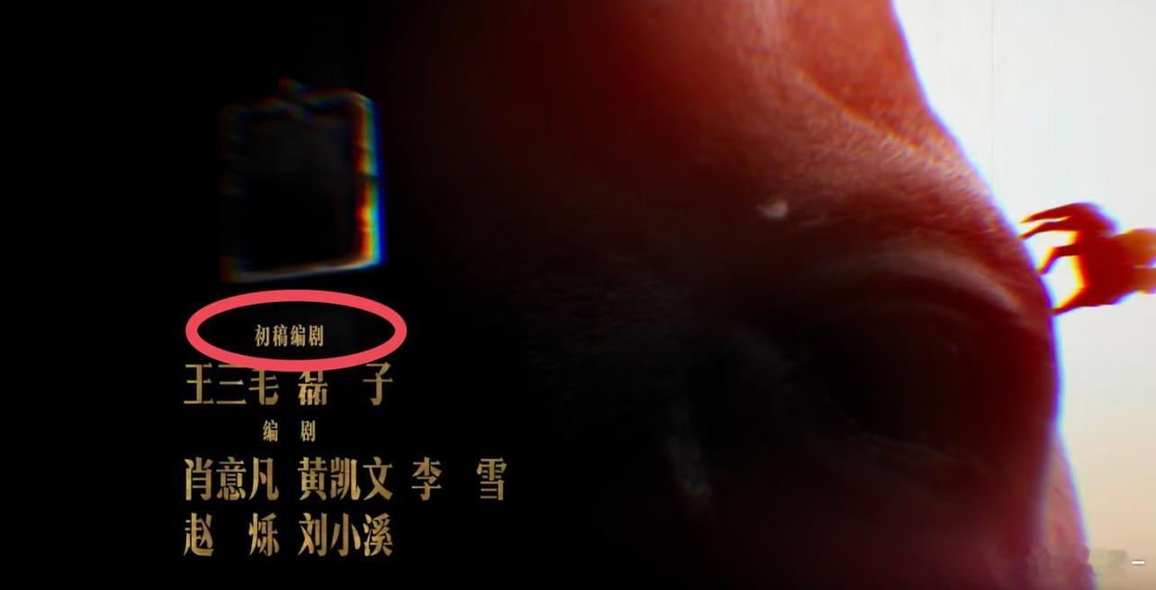 想到国色芳华里片尾连木工啥啥啥的都有名字，都是很用心的团队！对比那个镜头晃来晃去