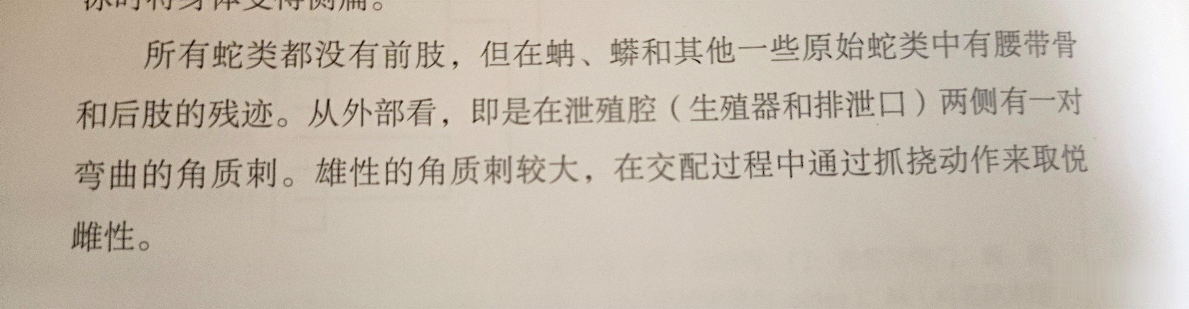 严肃学习蛇知识中可以的，以后搞蛇塑的又有新的xp点可以用了 