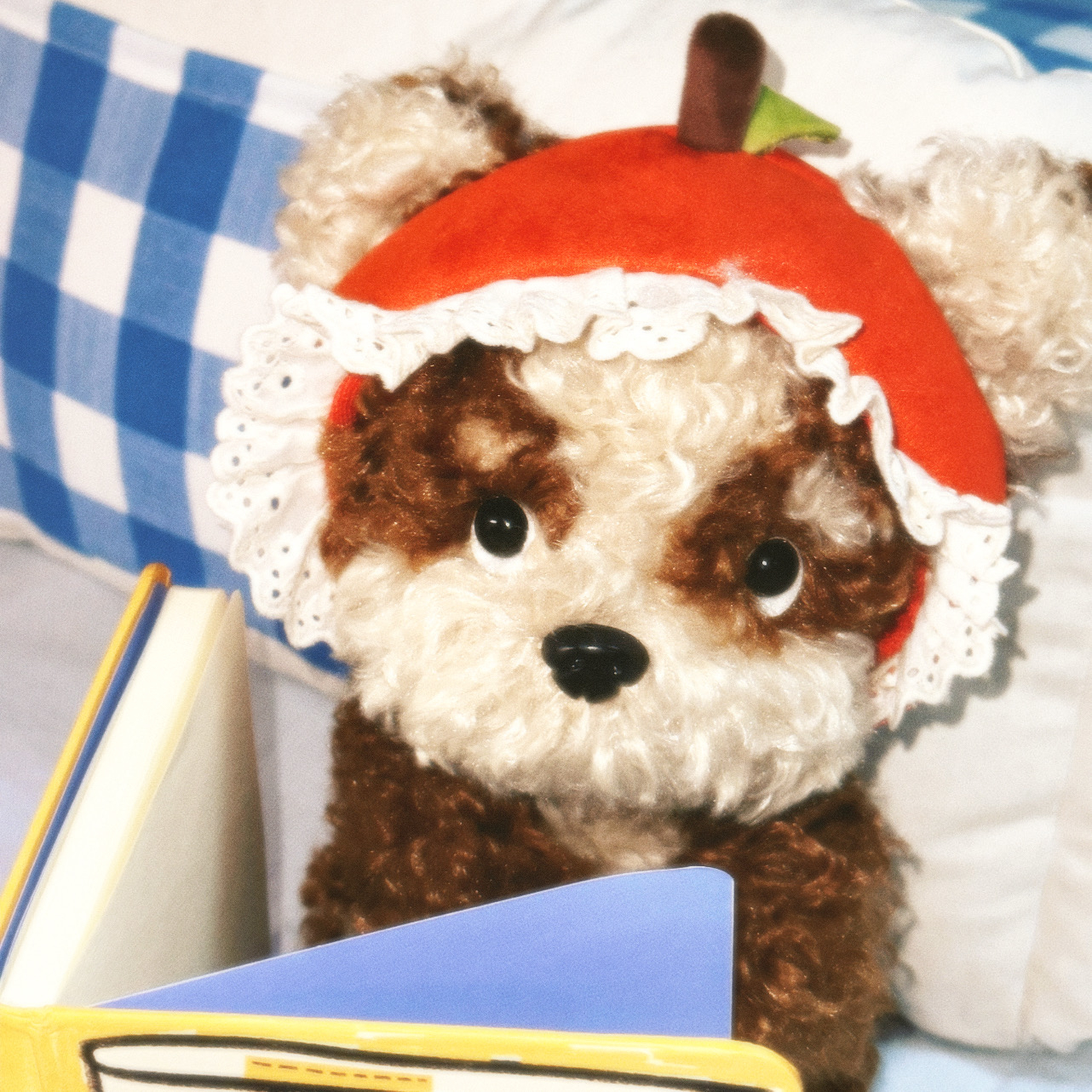 复古小狗🍎 ˒˒ ͏੯•́໒꒱ 