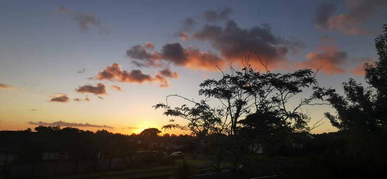 大自然的水墨画
    浓墨重彩，水墨丹青。拍摄于奥克兰东区的傍晚，颇有点中国水