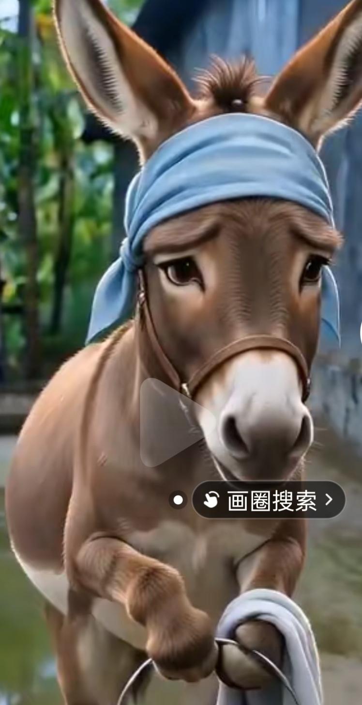 人每天奔波劳碌,究竟是为了什么?
说大一点，是为了祖国的建设和强大，说小一点，是