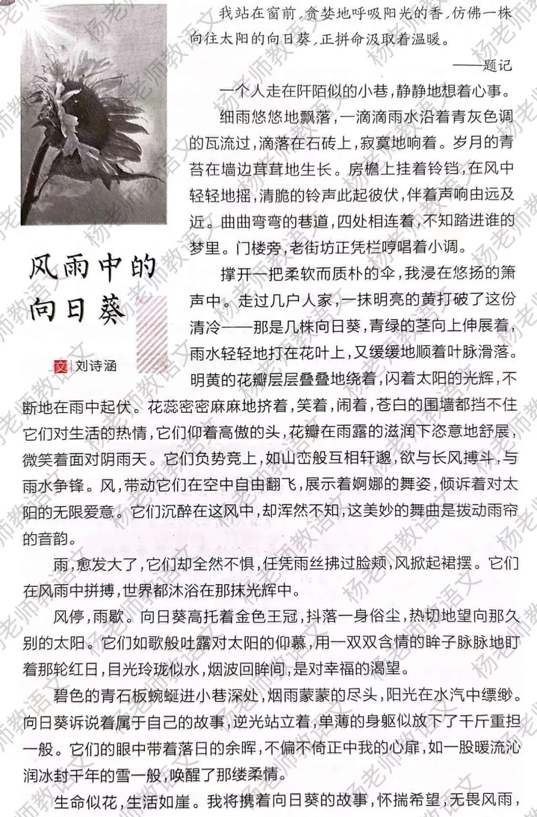 高分作文素材：托物言志+借物喻人+遇见
