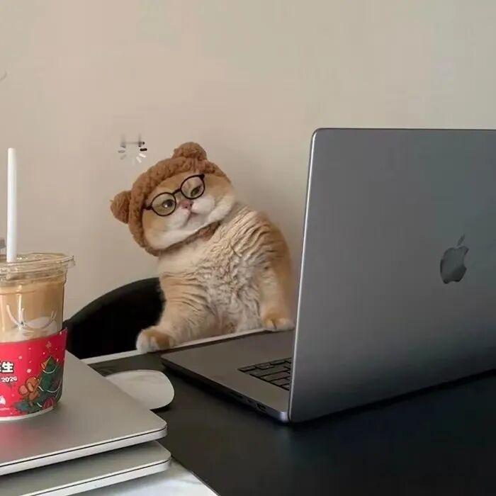 哪有那么多分类 还i人e人浓人淡人的 上两天班就老实了 全都变成死人 ​​​