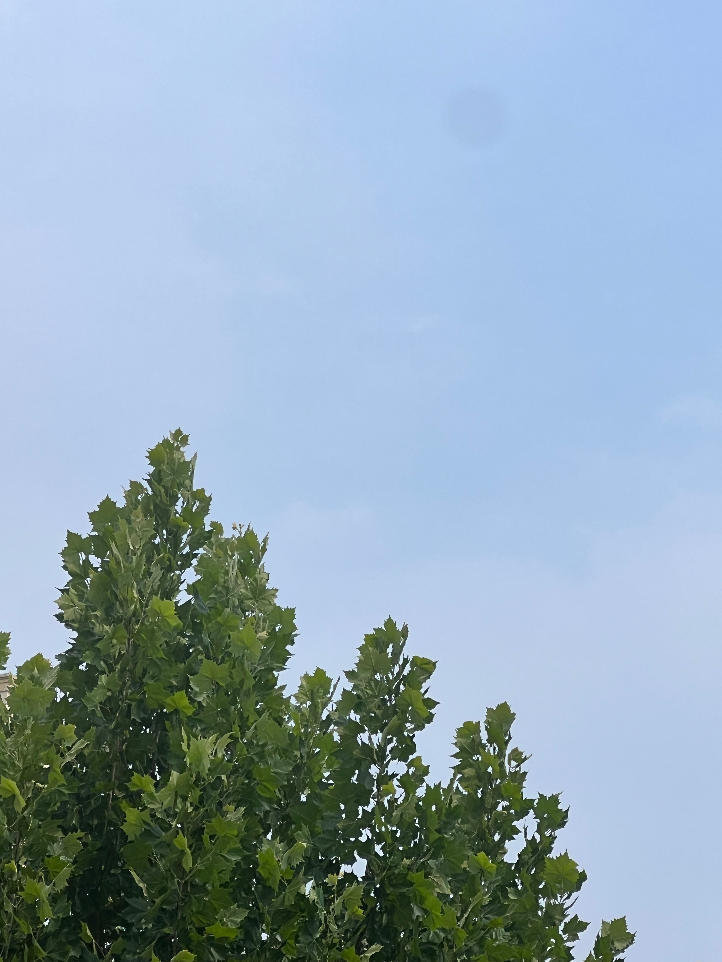 你还记得当年查高考成绩时的样子吗？我记得我那年查高考成绩 的时候还在外面和伙伴们